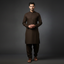 NIGHT BROWN BULBUL - (WASH AND WEAR)